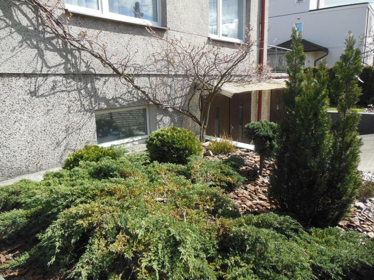 Apartment U Adeli *
